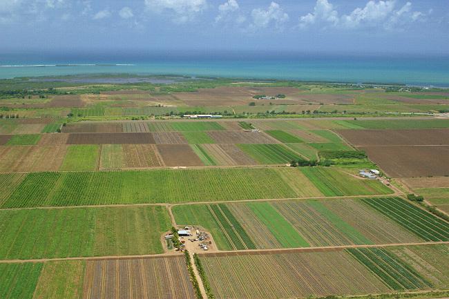 agricultura